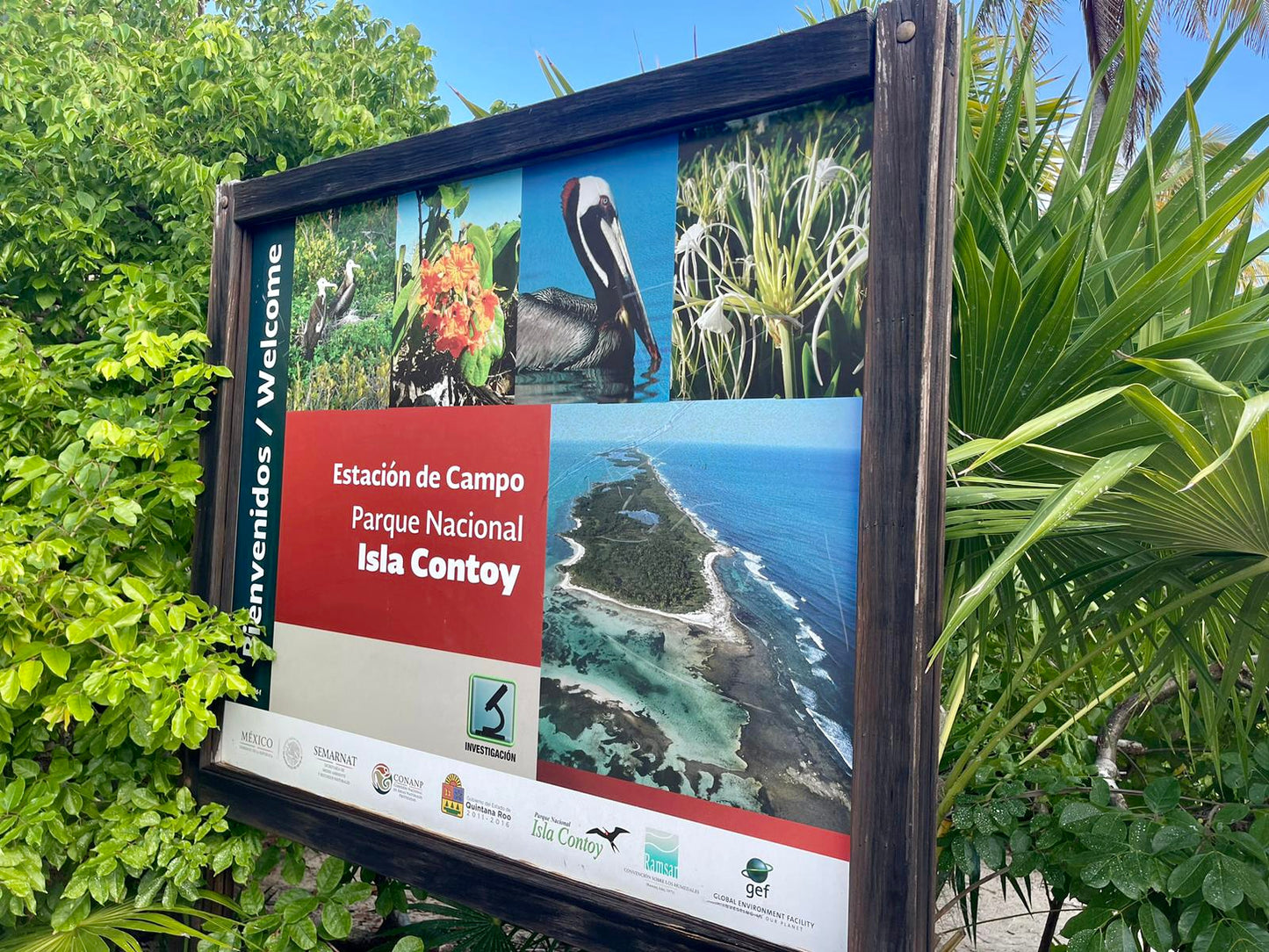 ISLA CONTOY + ISLA MUJERES
