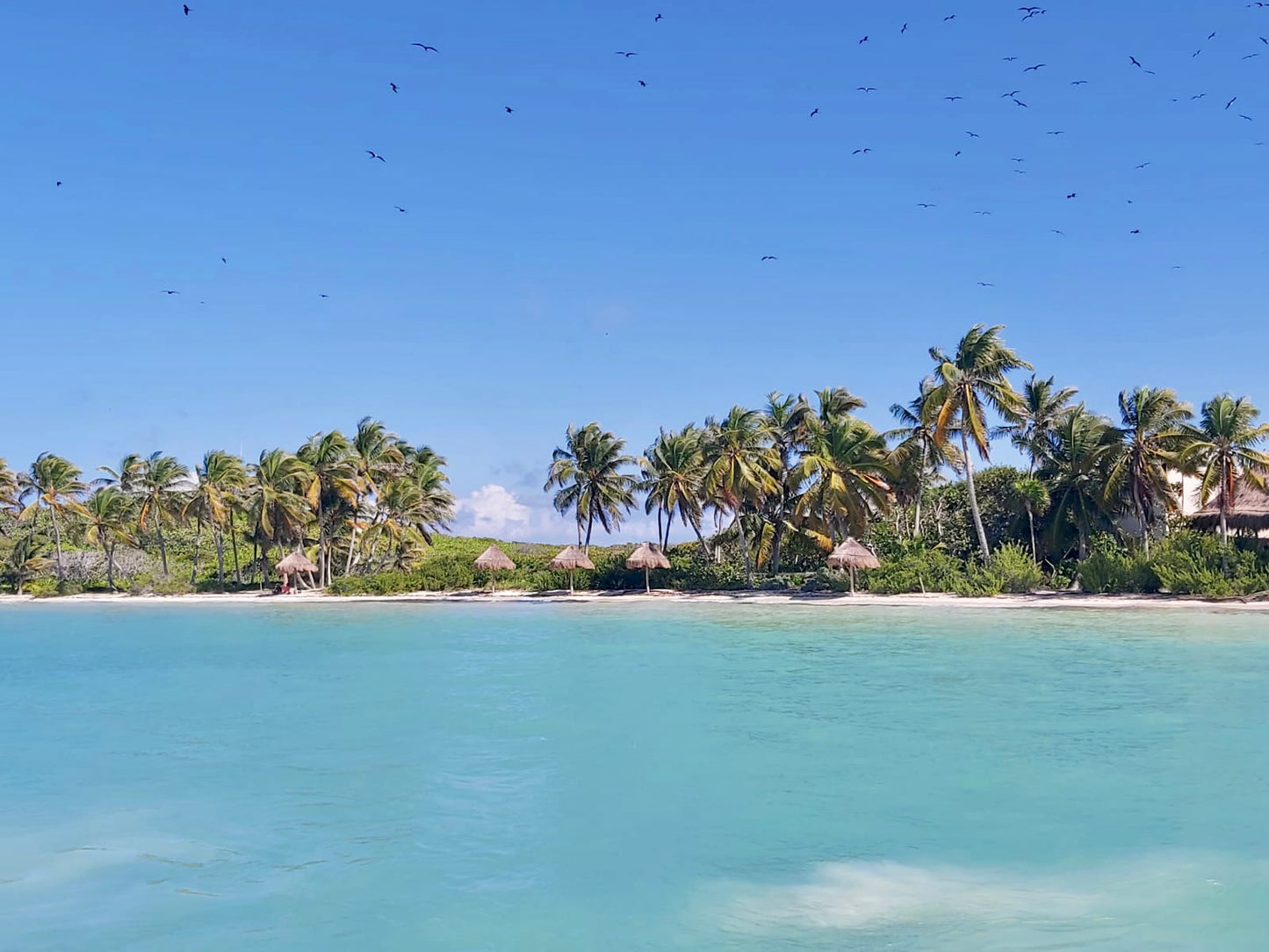 ISLA CONTOY + ISLA MUJERES