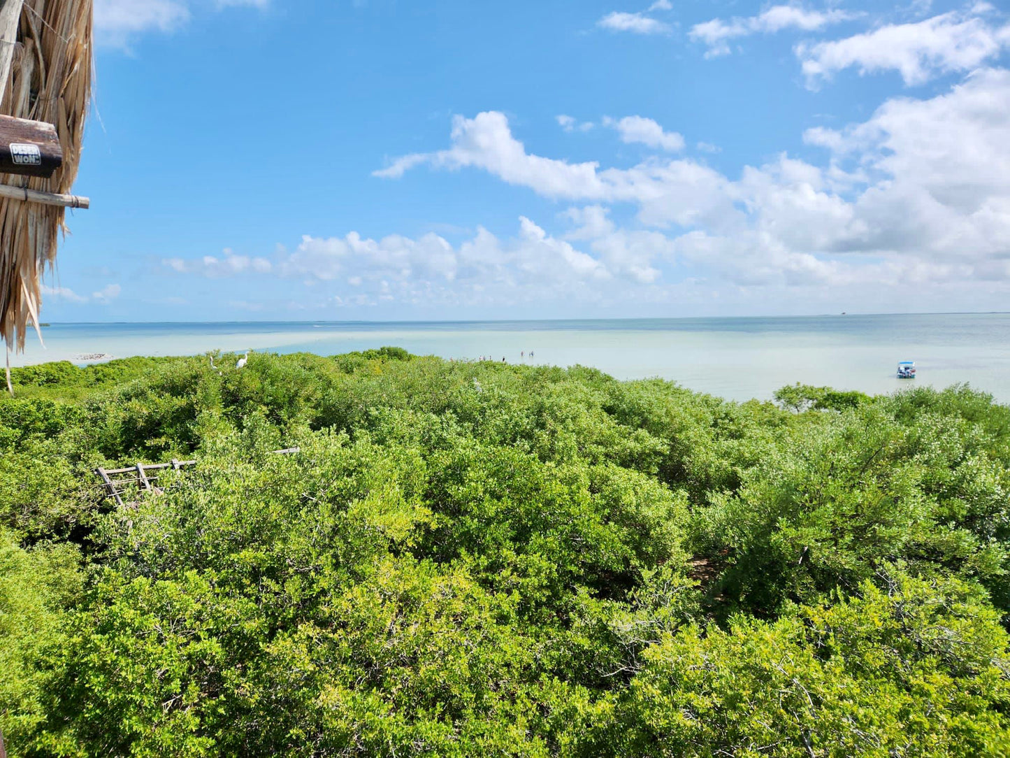HOLBOX