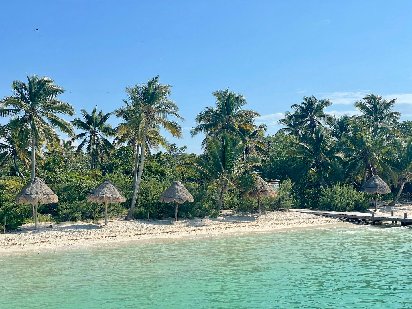ISLA CONTOY + ISLA MUJERES