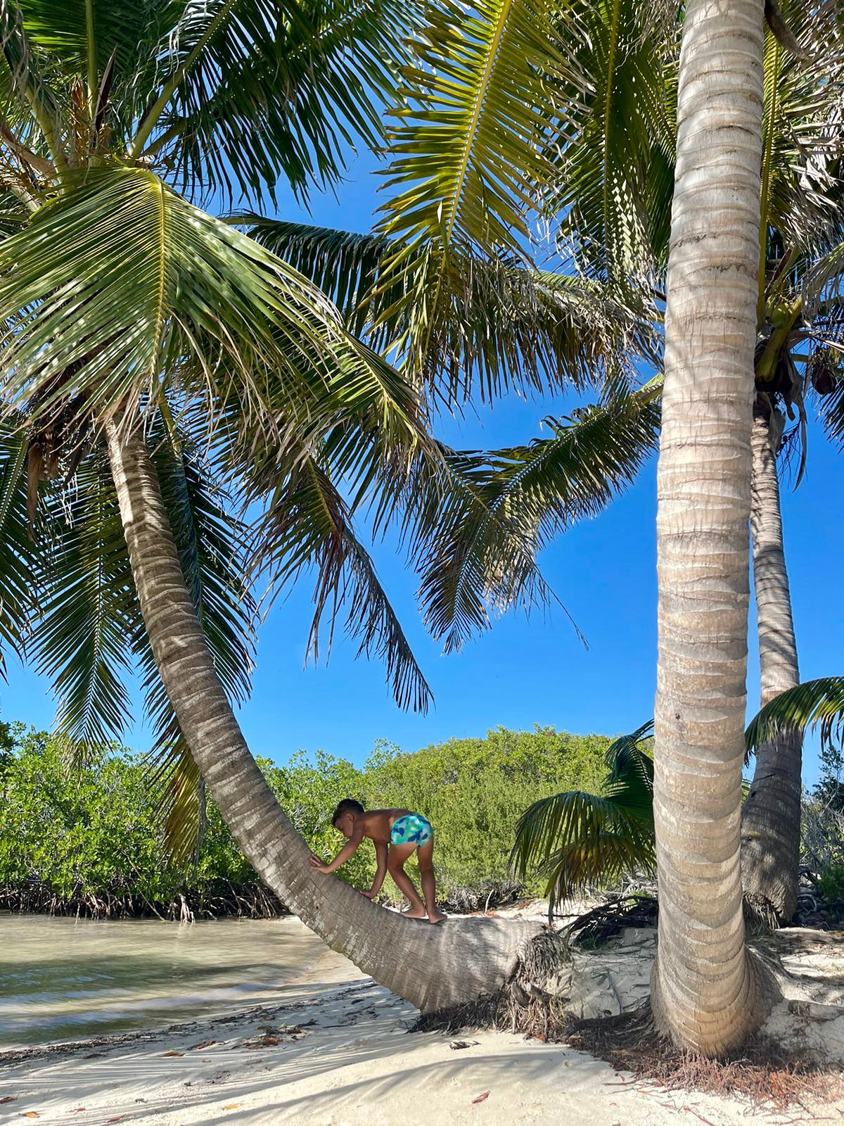 ISLA CONTOY + ISLA MUJERES