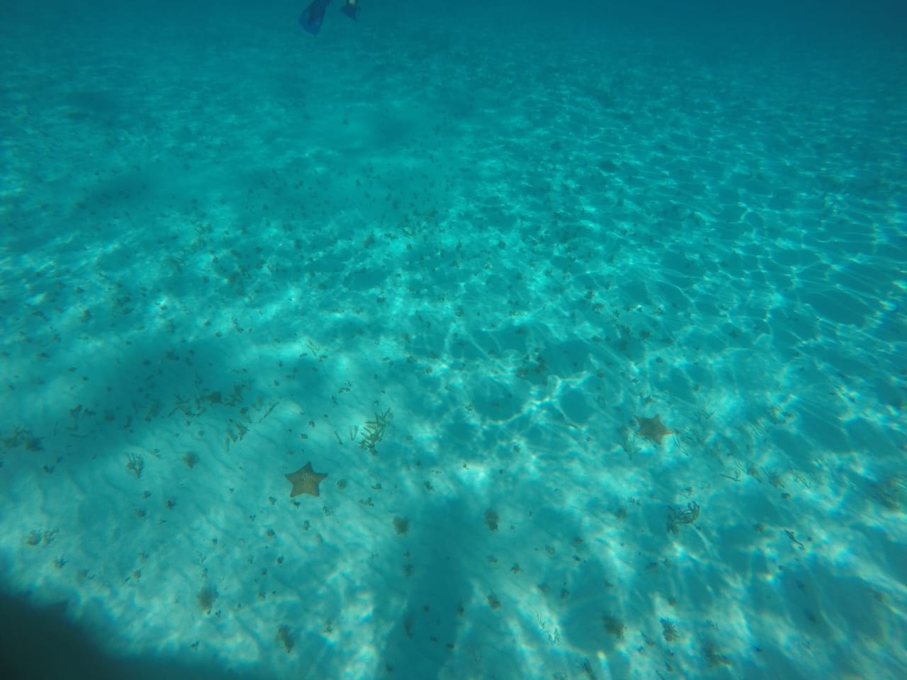 COZUMEL EL CIELO