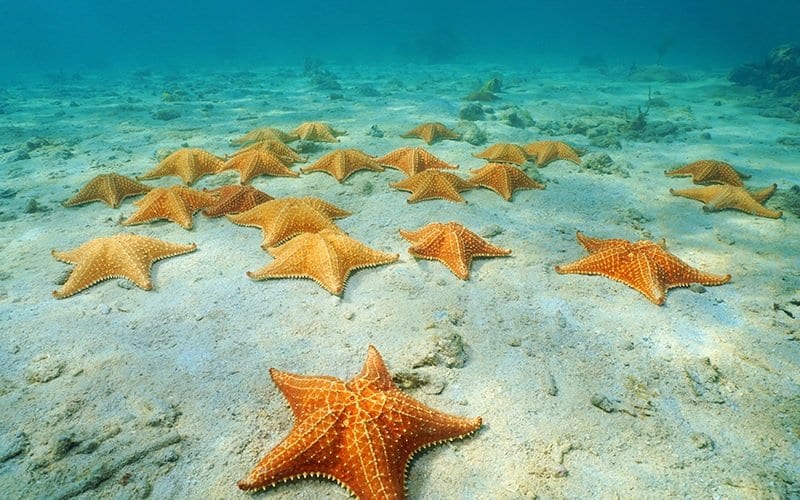 COZUMEL EL CIELO