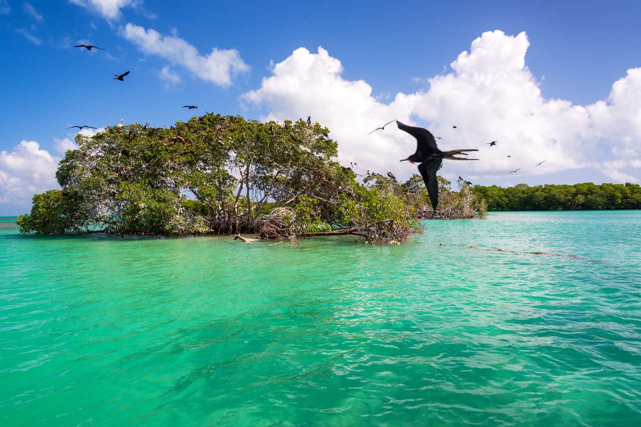 SIAN KA'AN NATURAL RESERVE