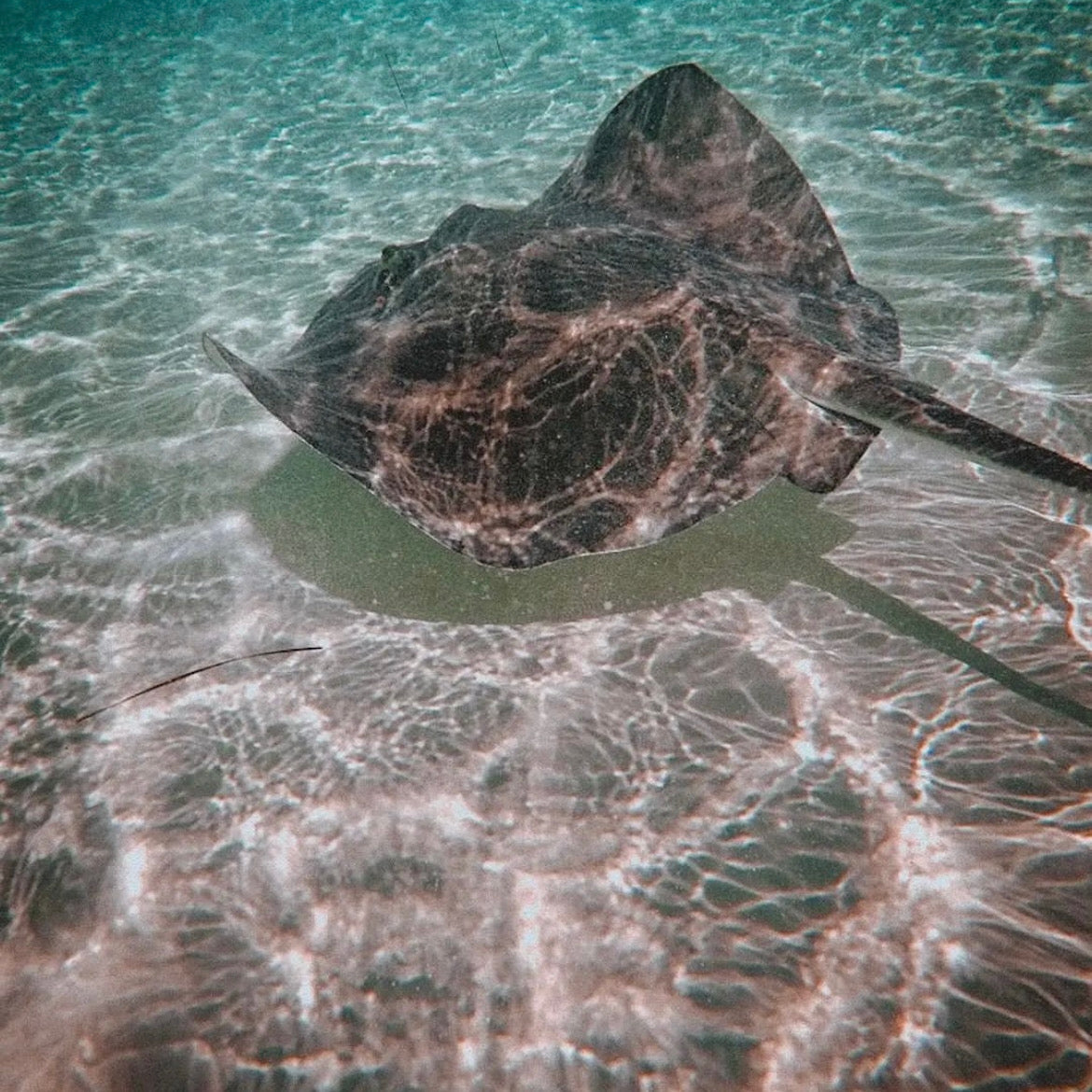 COZUMEL EL CIELO