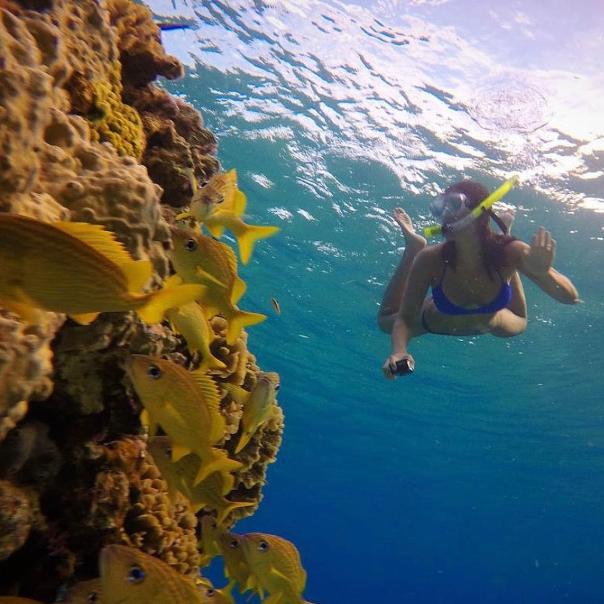 COZUMEL EL CIELO