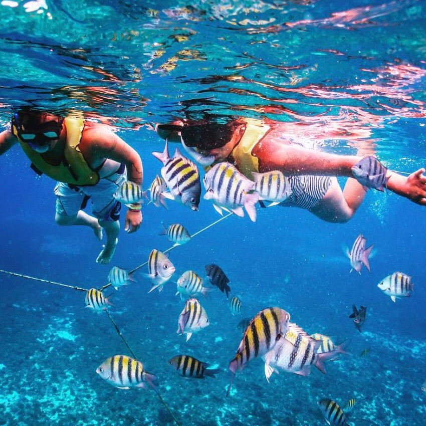 SNORKEL UBICACIONES DIFERENTES