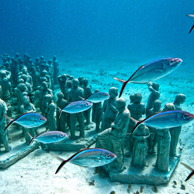 DIVING