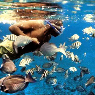 ISLA CONTOY + ISLA MUJERES
