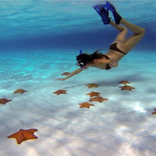 COZUMEL EL CIELO