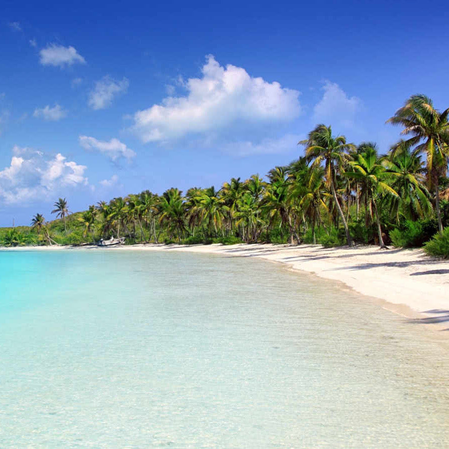 ISLA CONTOY + ISLA MUJERES