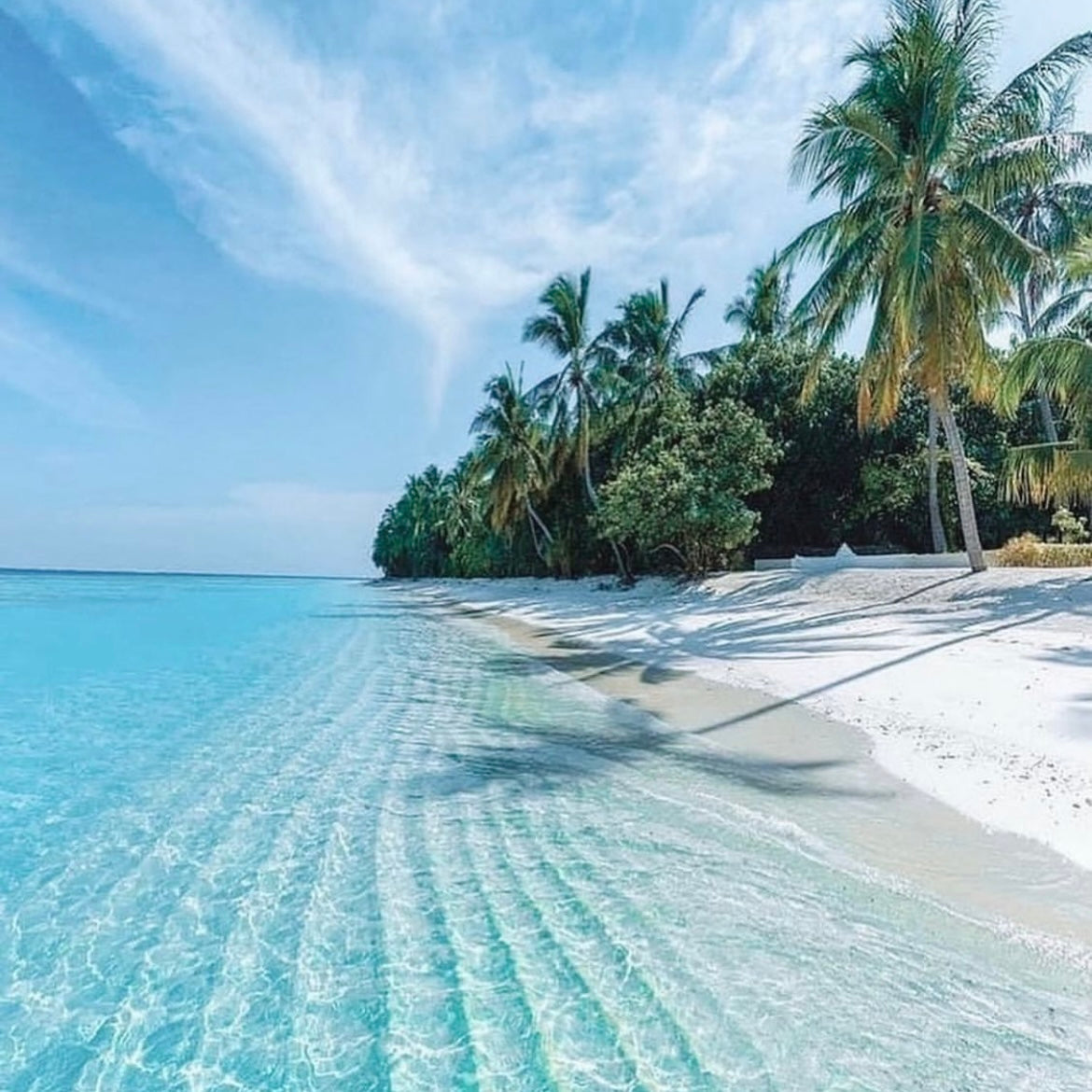 ISLA CONTOY + ISLA MUJERES