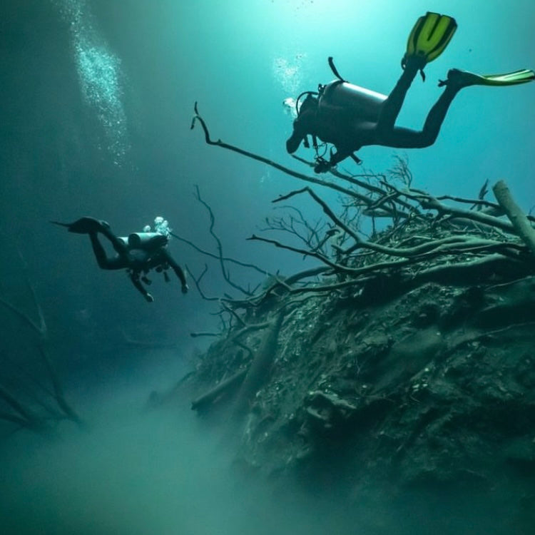 DIVING