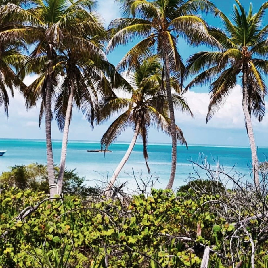 ISLA CONTOY + ISLA MUJERES