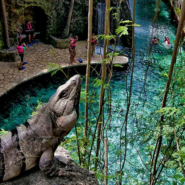XCARET - PARQUE TEMATICO