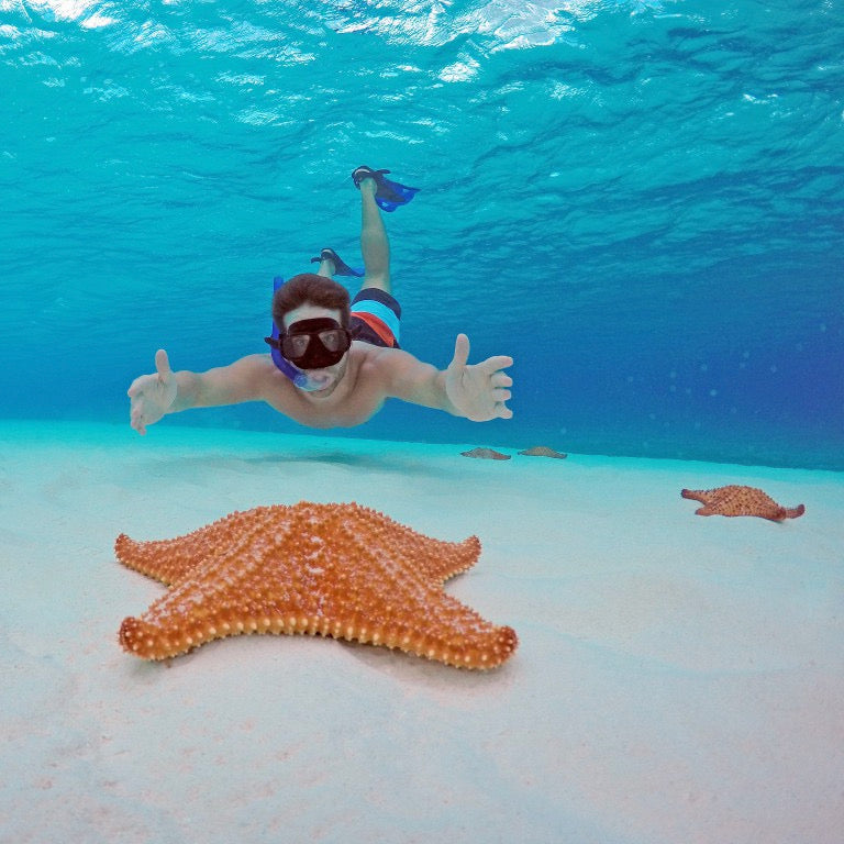 COZUMEL EL CIELO