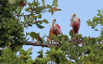 LAGUNA BACALAR