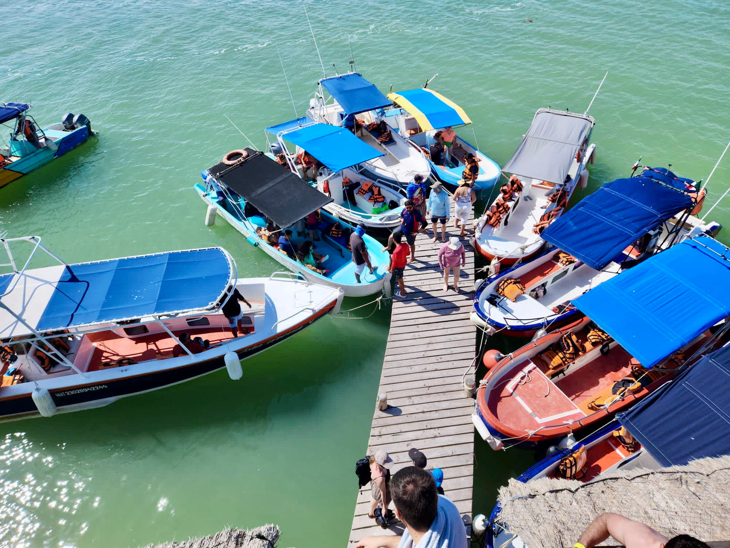 HOLBOX