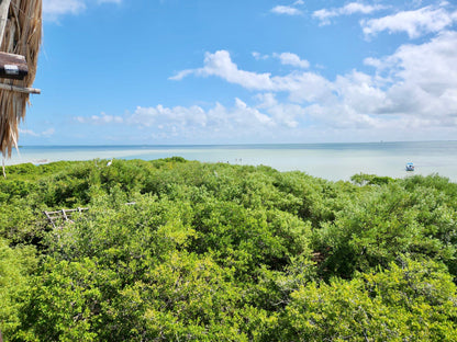 HOLBOX