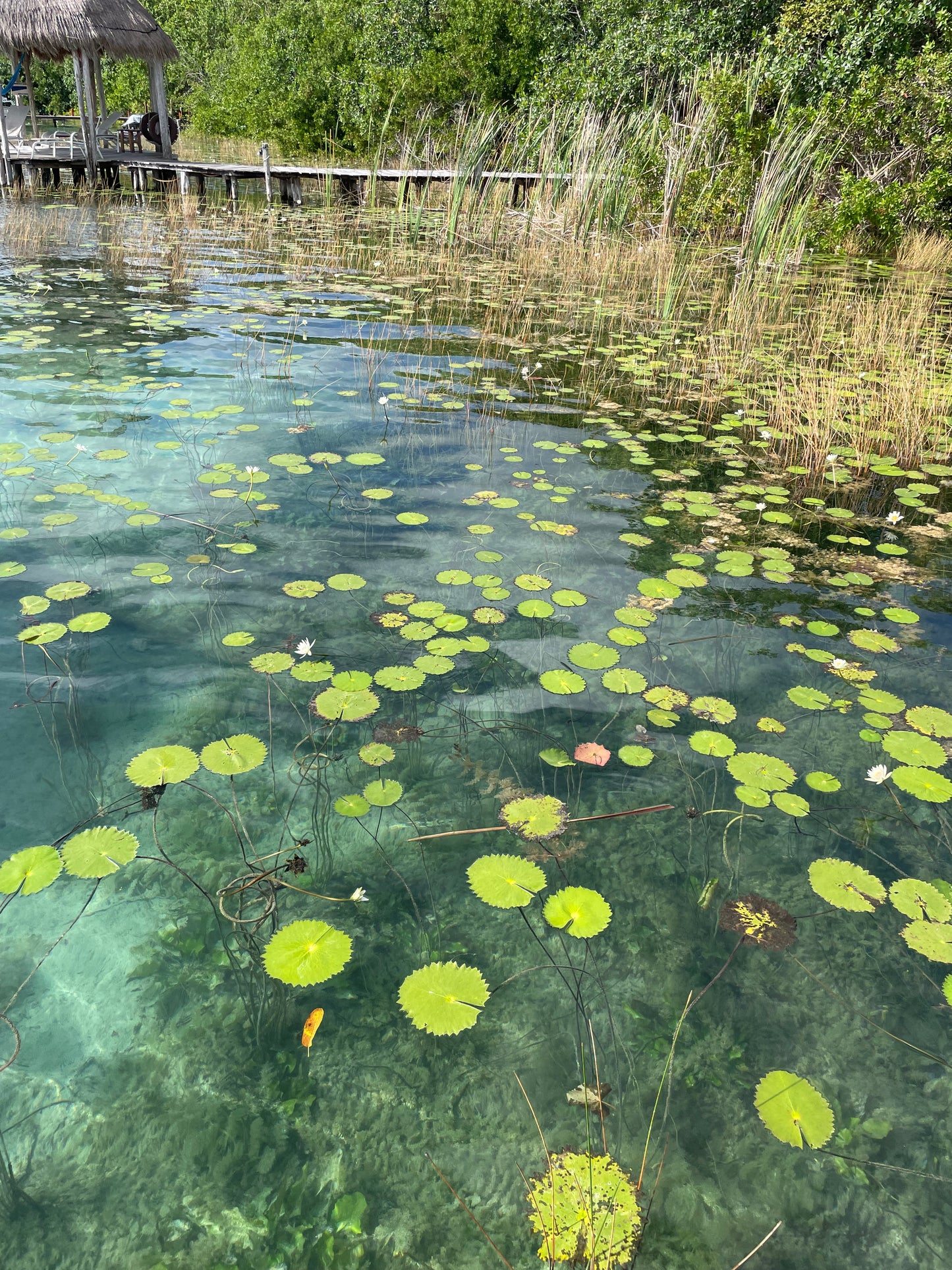 LAGUNA BACALAR