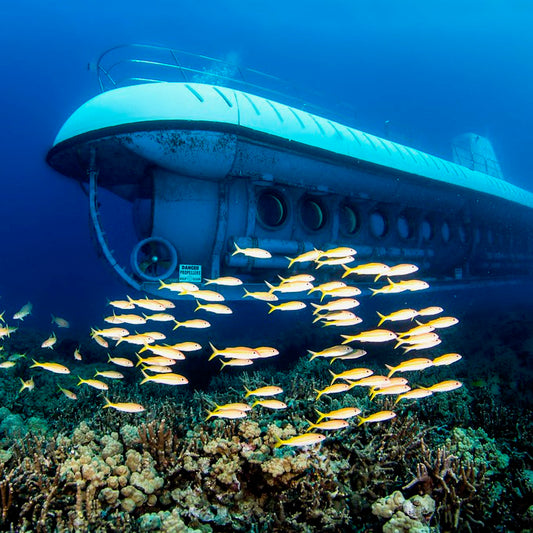 SUBMARINO ATLANTIS COZUMEL