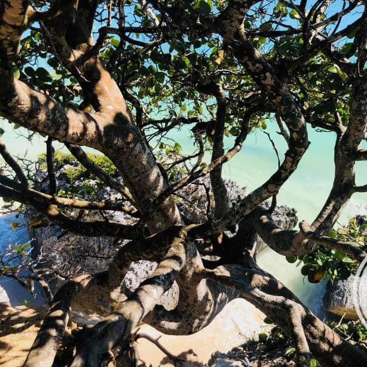 TULUM MAYAN ARCHEOLOGICAL & CULTURAL EXPERIENCE