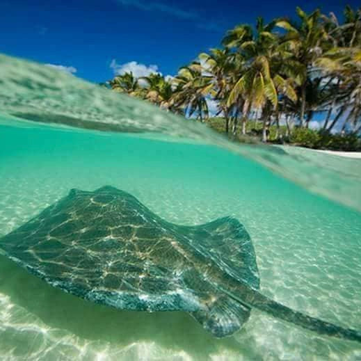 ISLA CONTOY & ISLA MUJERES