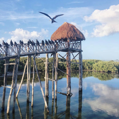 HOLBOX