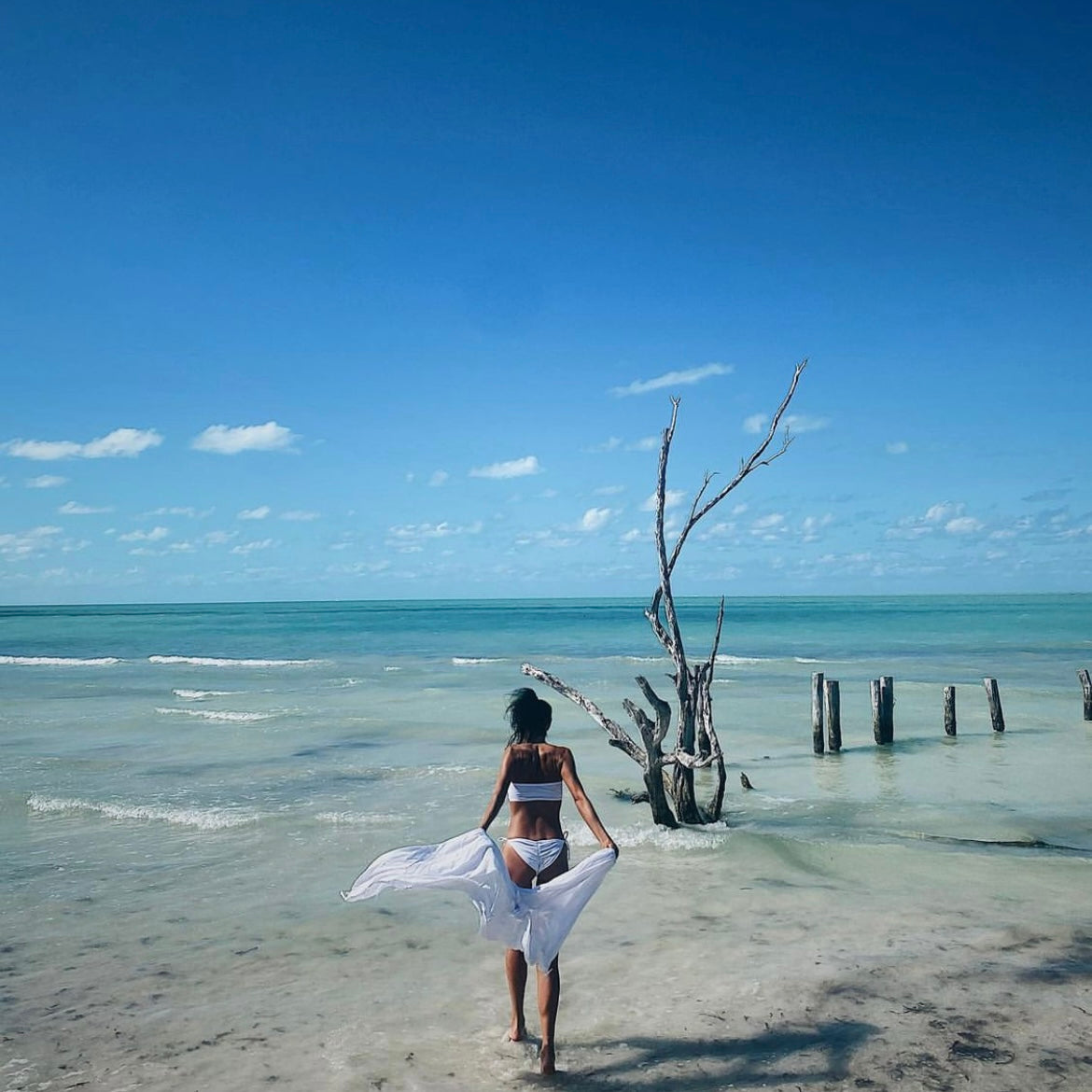 HOLBOX