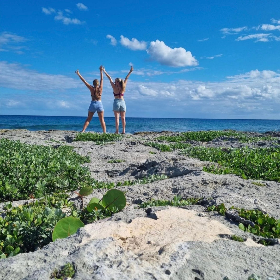 HOLBOX